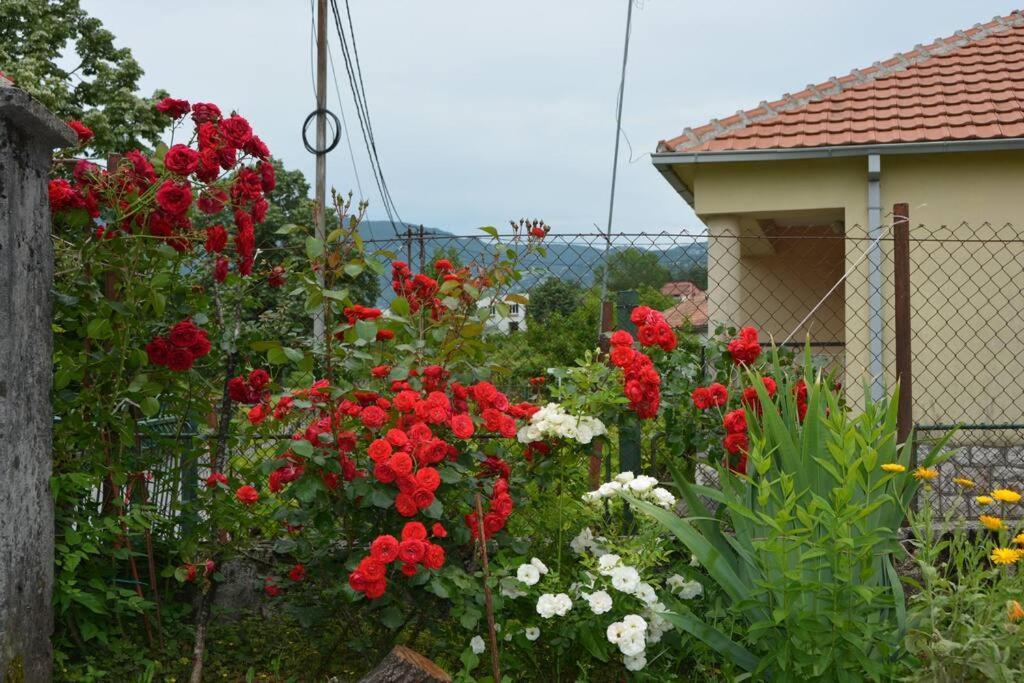 B&B Ana Virpazar Kültér fotó